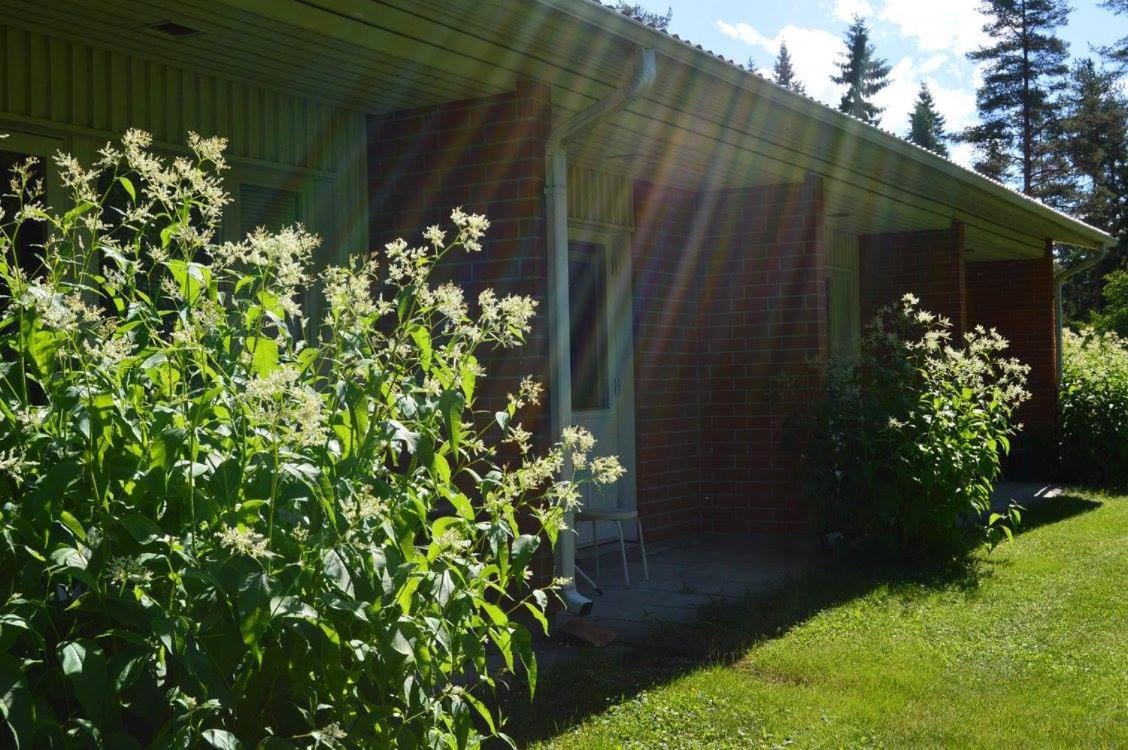 Hotelli Ravintola Tiilikka Rautavaara Exteriér fotografie